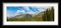 Trees with Canadian Rockies in the background, Smith-Dorrien Spray Lakes Trail, Kananaskis Country, Alberta, Canada Fine Art Print