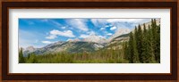 Trees with Canadian Rockies in the background, Smith-Dorrien Spray Lakes Trail, Kananaskis Country, Alberta, Canada Fine Art Print