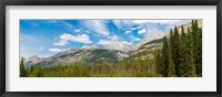 Trees with Canadian Rockies in the background, Smith-Dorrien Spray Lakes Trail, Kananaskis Country, Alberta, Canada Fine Art Print