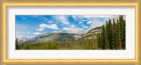 Trees with Canadian Rockies in the background, Smith-Dorrien Spray Lakes Trail, Kananaskis Country, Alberta, Canada Fine Art Print