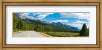 Road passing through a forest, Bow Valley Parkway, Banff National Park, Alberta, Canada Fine Art Print