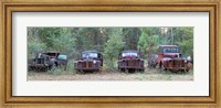 Old rusty cars and trucks on Route 319, Crawfordville, Wakulla County, Florida, USA Fine Art Print