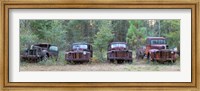 Old rusty cars and trucks on Route 319, Crawfordville, Wakulla County, Florida, USA Fine Art Print