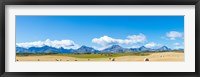 Hay bales in a field with Canadian Rockies in the background, Alberta, Canada Fine Art Print