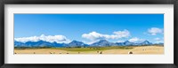 Hay bales in a field with Canadian Rockies in the background, Alberta, Canada Fine Art Print