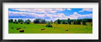 Hay bales in a landscape, Michigan, USA Fine Art Print