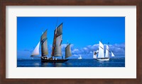 Tall ship regatta featuring Cancalaise and Granvillaise, Baie De Douarnenez, Finistere, Brittany, France Fine Art Print