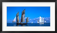 Tall ship regatta featuring Cancalaise and Granvillaise, Baie De Douarnenez, Finistere, Brittany, France Fine Art Print