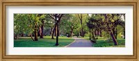 Trees in a public park, Central Park, Manhattan, New York City, New York State, USA Fine Art Print
