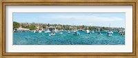 Boats docked at Watsons Bay, Sydney, New South Wales, Australia Fine Art Print
