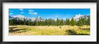 Trees with mountain range in the background, Banff National Park, Alberta, Canada Fine Art Print