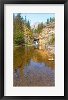 Flowing stream in a forest, Banff National Park, Alberta, Canada Fine Art Print