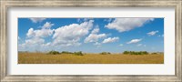 Clouds over Everglades National Park, Florida, USA Fine Art Print