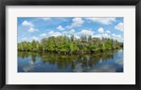 Reflection of trees in the river, Hillsborough River, Lettuce Lake Park, Hillsborough County, Florida, USA Fine Art Print