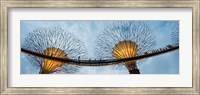 Elevated walkway among Supertrees, Gardens by the Bay, Singapore Fine Art Print