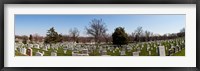 Tombstones in a cemetery, Arlington National Cemetery, Arlington, Virginia, USA Framed Print