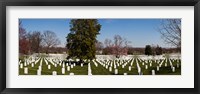 Headstones in a cemetery, Arlington National Cemetery, Arlington, Virginia, USA Fine Art Print