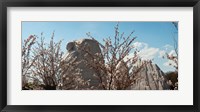 Cherry trees in front of a memorial, Martin Luther King Jr. National Memorial, Washington DC, USA Fine Art Print