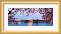 Cherry Blossom tree with a memorial in the background, Jefferson Memorial, Washington DC, USA Fine Art Print