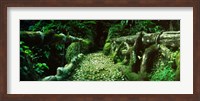 Wooden bridge in the subtropical forest, Parque Lage, Jardim Botanico, Corcovado, Rio de Janeiro, Brazil Fine Art Print