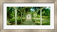 Pathway in a botanical garden, Jardim Botanico, Zona Sul, Rio de Janeiro, Brazil Fine Art Print