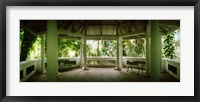 Canopy in the botanical garden, Jardim Botanico, Zona Sul, Rio de Janeiro, Brazil Fine Art Print