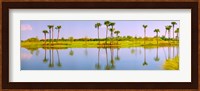 Reflection of trees on water, Lake Worth, Palm Beach County, Florida, USA Fine Art Print