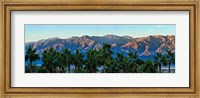 Palm trees with mountain range in the background, Furnace Creek Inn, Death Valley, Death Valley National Park, California, USA Fine Art Print