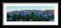 Palm trees with mountain range in the background, Furnace Creek Inn, Death Valley, Death Valley National Park, California, USA Fine Art Print