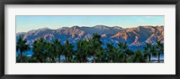 Palm trees with mountain range in the background, Furnace Creek Inn, Death Valley, Death Valley National Park, California, USA Fine Art Print