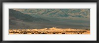 Sand dunes in a desert, Death Valley, Death Valley National Park, California, USA Fine Art Print