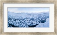 Ice floating in fjord, Tiniteqilaaq, Greenland Fine Art Print