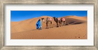 Tuareg man leading camel train in desert, Erg Chebbi Dunes, Sahara Desert, Morocco Fine Art Print