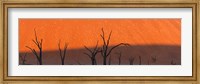 Dead trees in dry clay pan, Dead Vlei, Sossusvlei, Namib-Naukluft National Park, Namibia Fine Art Print
