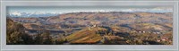 High angle view of vineyards and castle, Grinzane Cavour, Langhe, Cuneo Province, Piedmont, Italy Fine Art Print