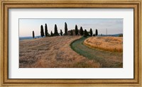 Road leading towards a farmhouse, Val d'Orcia, Tuscany, Italy Fine Art Print