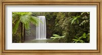 Waterfall in a forest, Millaa Millaa Falls, Atherton Tableland, Queensland, Australia Fine Art Print