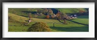 High angle view of a village in valley, Dove Dale, White Peak, Peak District National Park, Derbyshire, England Fine Art Print
