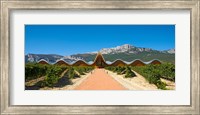 Bodegas Ysios winery building and vineyard, La Rioja, Spain Fine Art Print