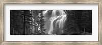 Waterfall in a forest, Banff, Alberta, Canada (black and white) Fine Art Print