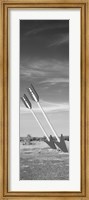 Twin arrows in the field, Route 66, Arizona (black and white) Fine Art Print