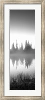 Reflection of trees in a lake in black and white, Mt Rainier National Park, Washington State Fine Art Print