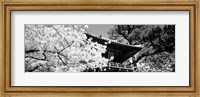 Golden Gate Park, Japanese Tea Garden (black & white) Fine Art Print