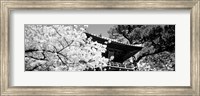 Golden Gate Park, Japanese Tea Garden (black & white) Fine Art Print