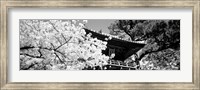 Golden Gate Park, Japanese Tea Garden (black & white) Fine Art Print