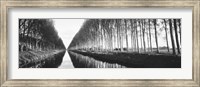 Belgium, tree lined waterway through countryside (black and white) Fine Art Print