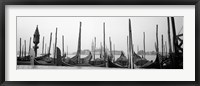Gondolas moored at a harbor, San Marco Giardinetti, Venice, Italy (black and white) Fine Art Print