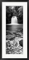 Waterfall In A Forest, Thomason Foss, Goathland, North Yorkshire, England, United Kingdom (black and white) Fine Art Print