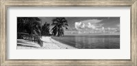 Palm trees on the beach, Matira Beach, Bora Bora, French Polynesia Fine Art Print