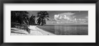 Palm trees on the beach, Matira Beach, Bora Bora, French Polynesia Fine Art Print